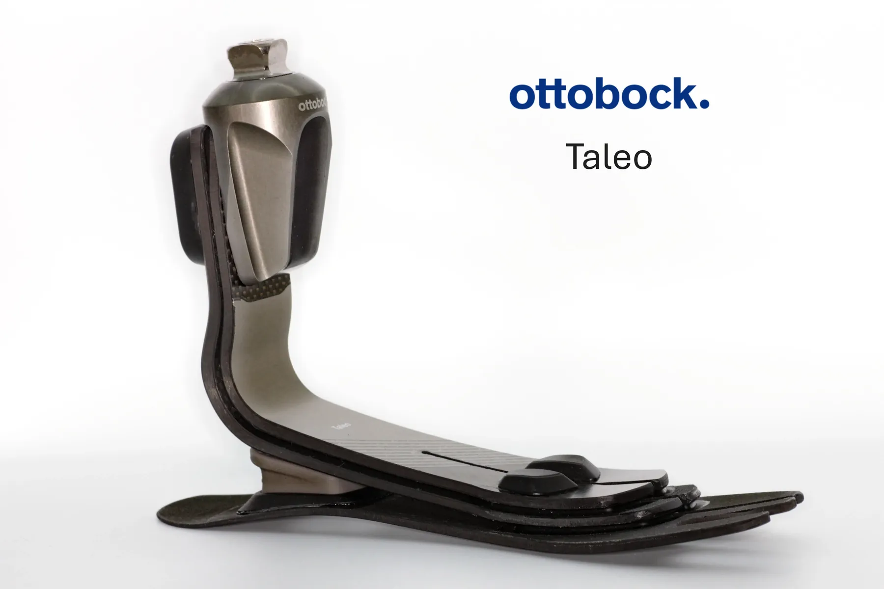 Ottobock · Taleo